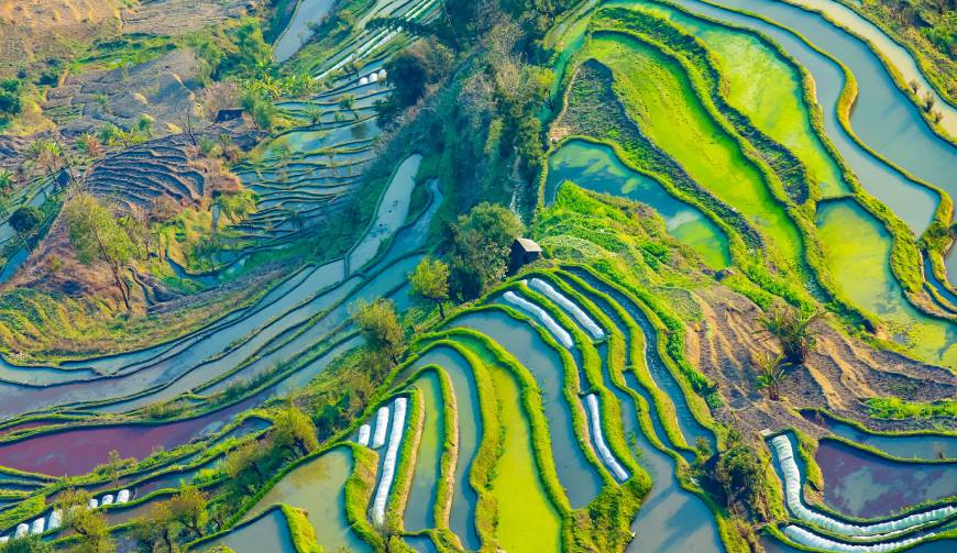 宝妈必备神器：遂宁产品视频拍摄轻松育儿好帮手